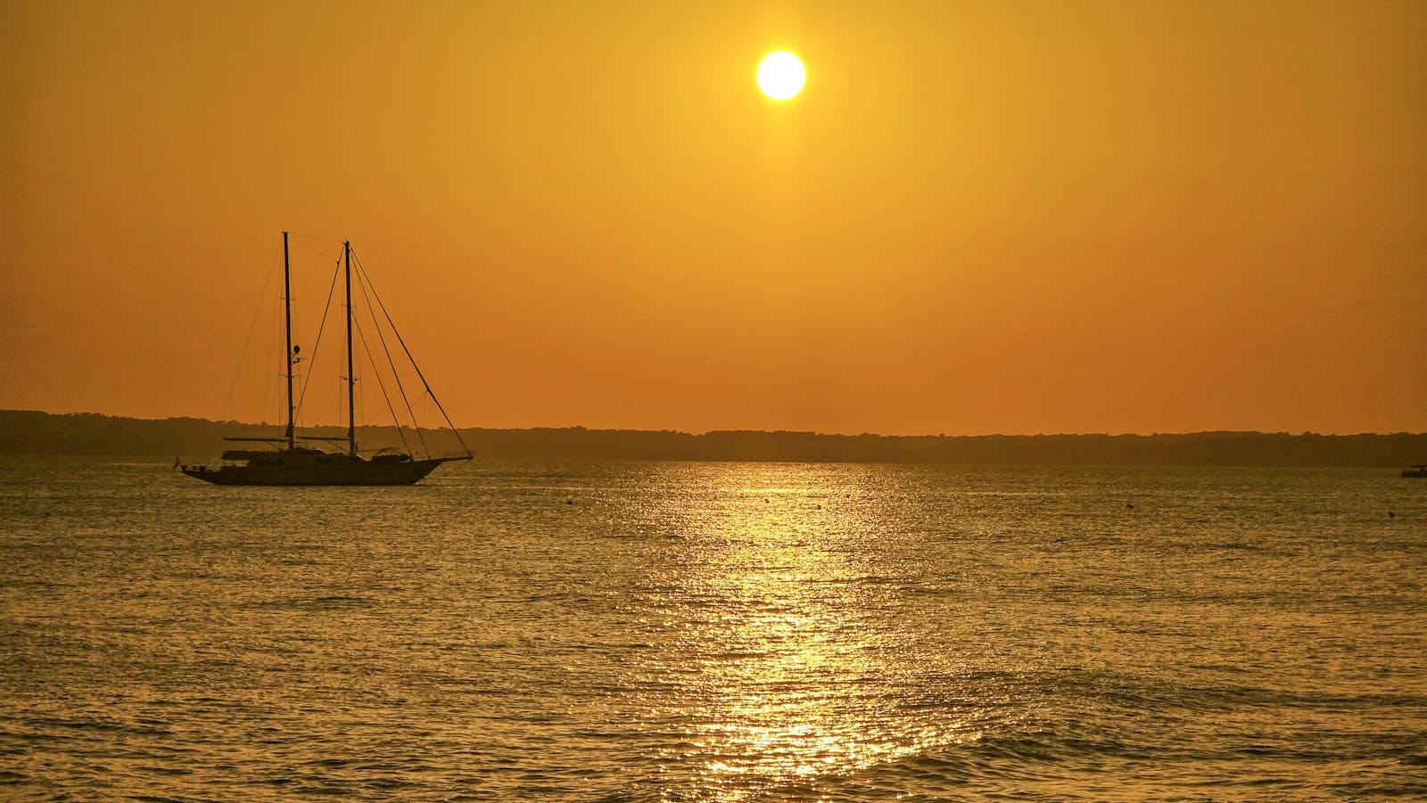 Want to sail with us?